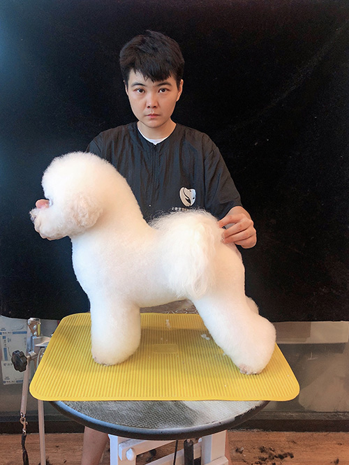 洗狗的5个步骤,学会后便能轻松洗狗 洗狗的5个步骤,学会后便能轻松洗狗