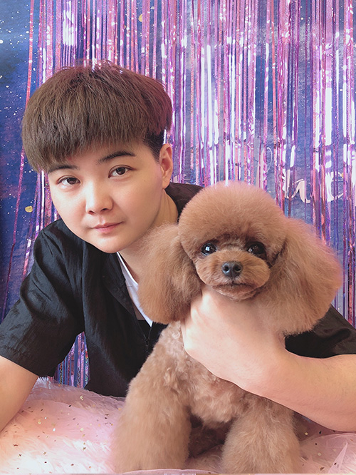 宠物美容 宠物美容