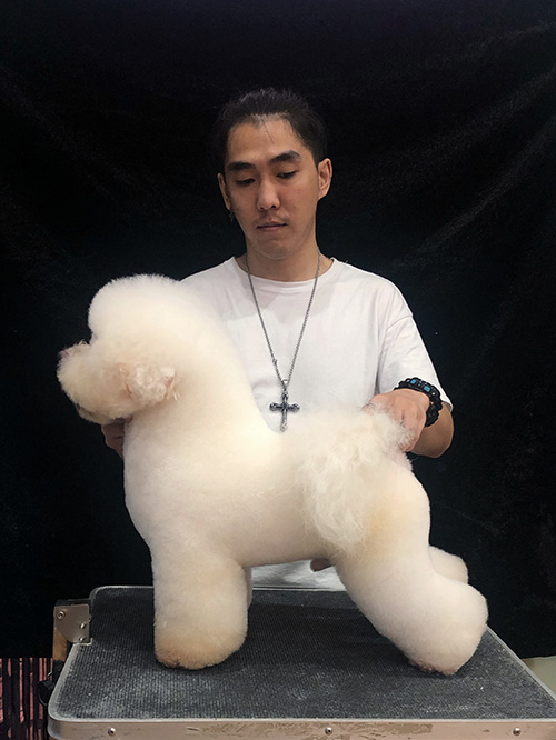 比熊标准装造型