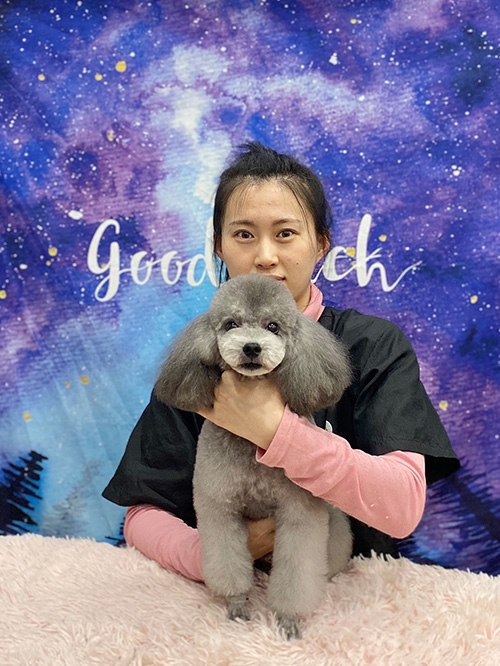 泰迪花生头造型