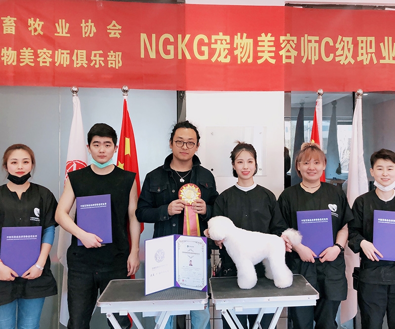 校内等级资格鉴定考试