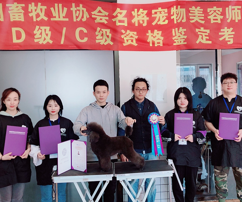 校内等级资格鉴定考试