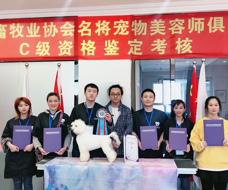 校内等级资格鉴定考试