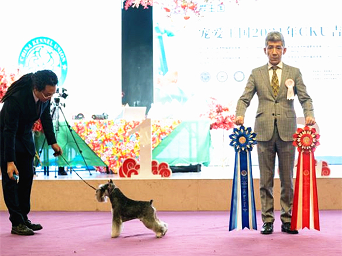 训犬培训班 训犬培训班