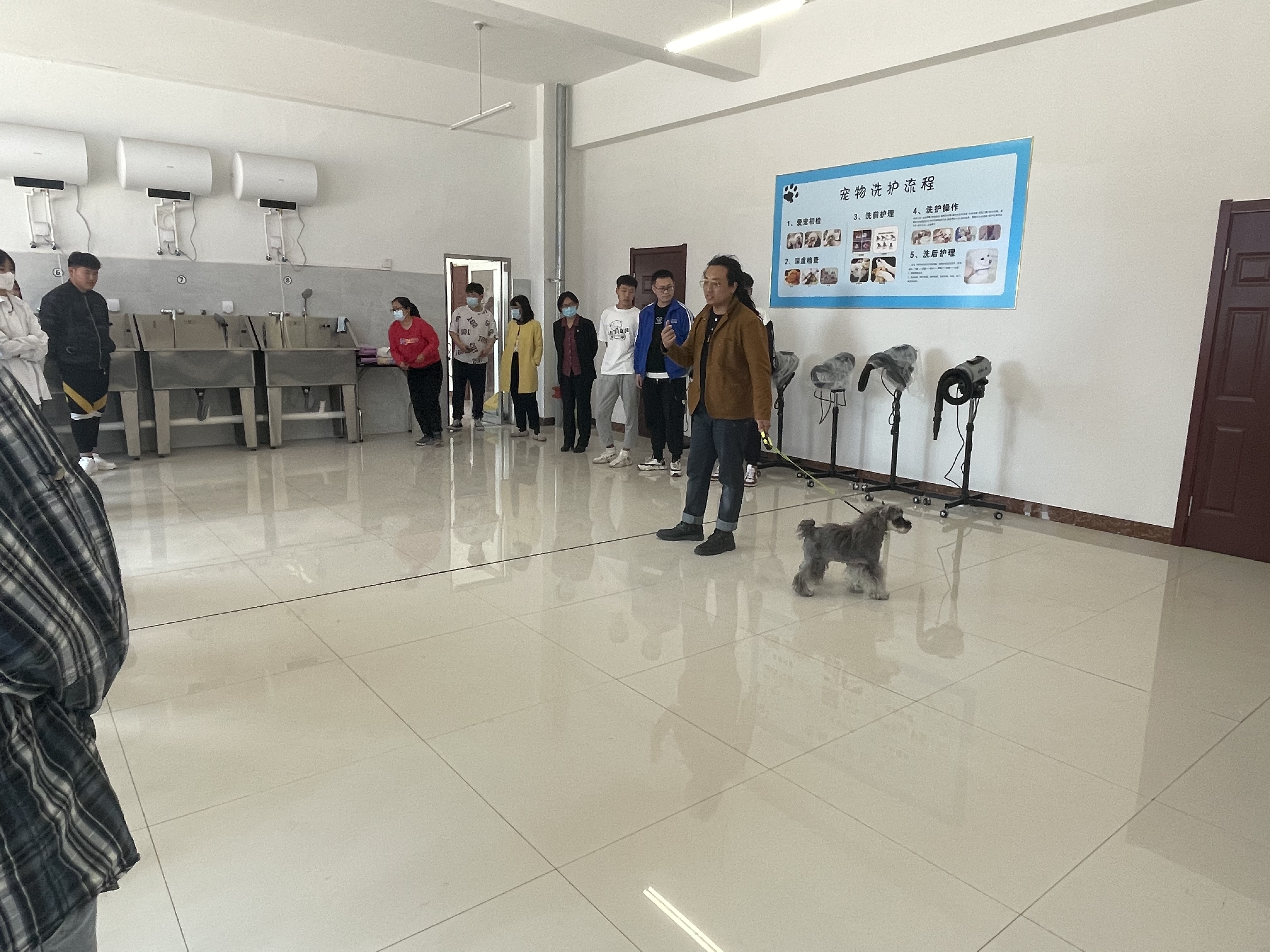 宠物美容培训