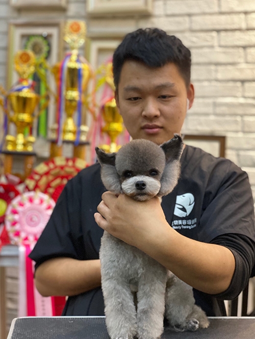 宠物美容培训学校 宠物美容培训学校
