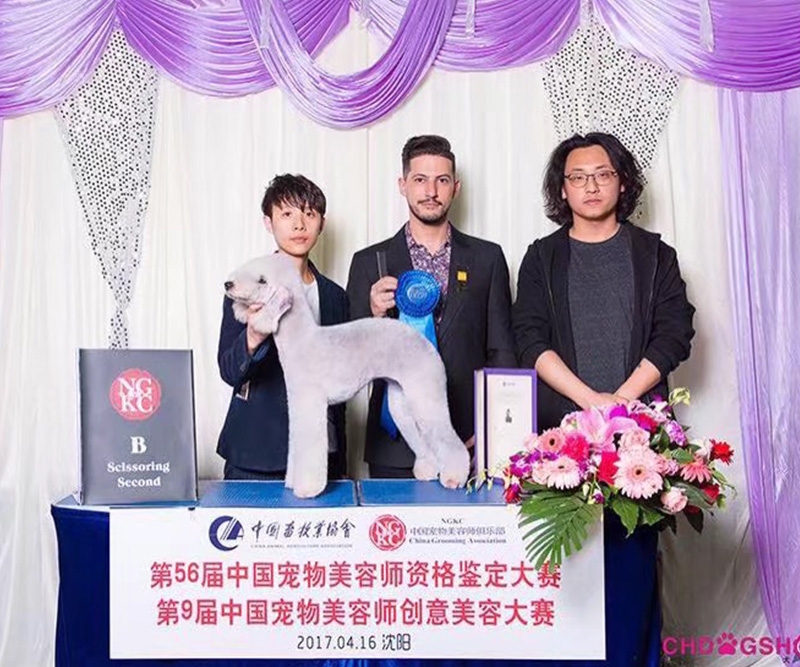 宠物美容培训学校 宠物美容培训学校