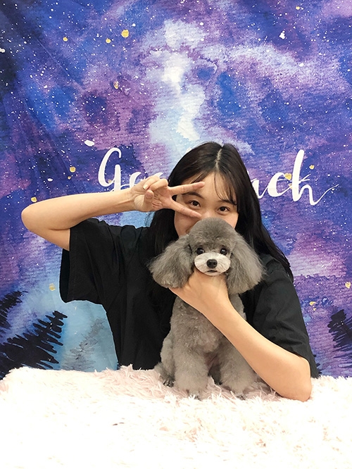 宠物美容培训学校 宠物美容培训学校