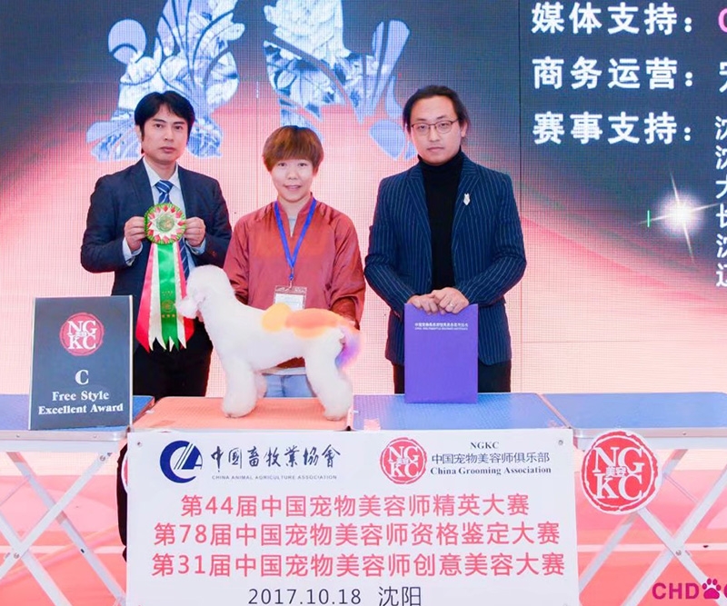 宠物美容培训学校